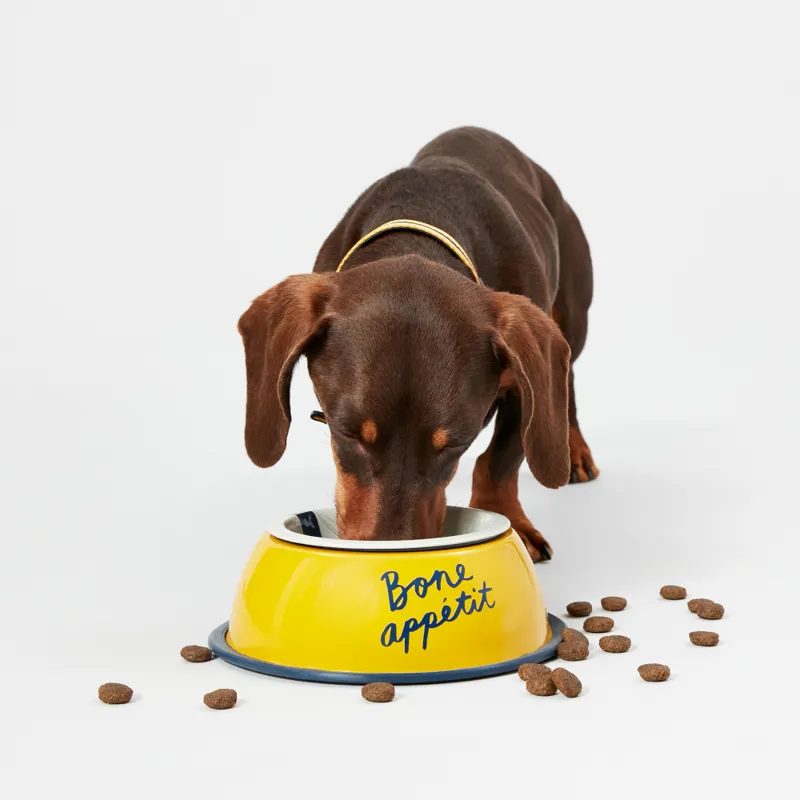 Joules Bone Appetite Dog Bowl-1